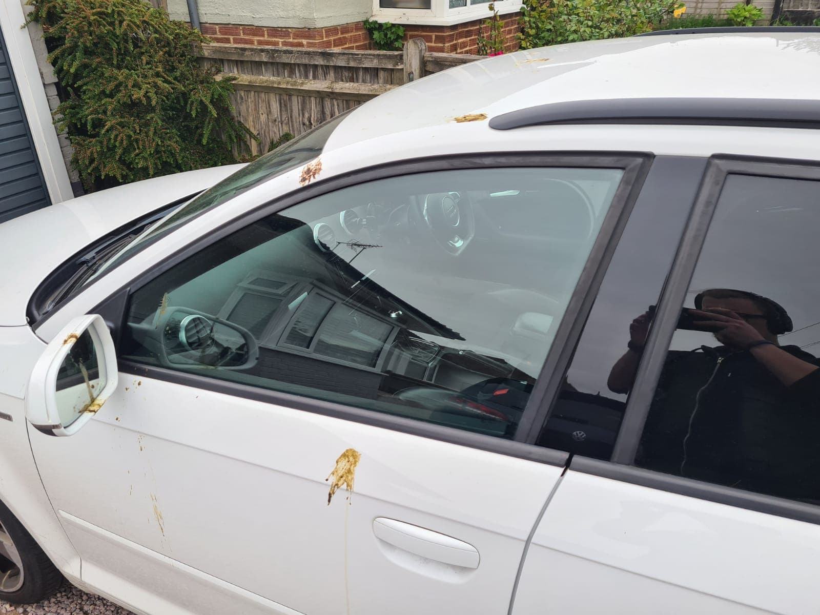 Before image
